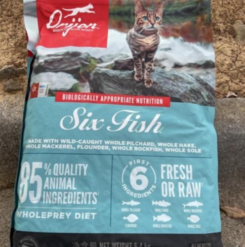 貓飼料推薦