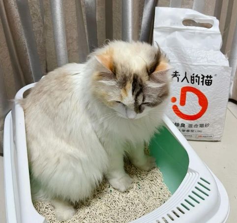 貓 砂​