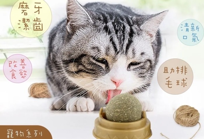 貓薄荷註意事項 貓薄荷註意事項