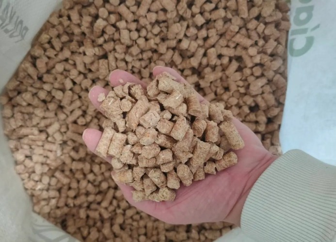 貓砂推薦