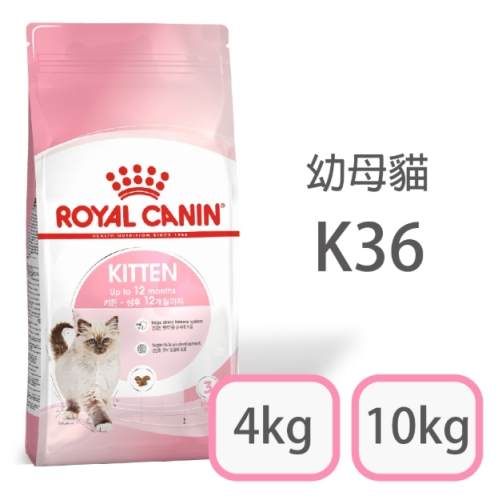 貓飼料挑選重點