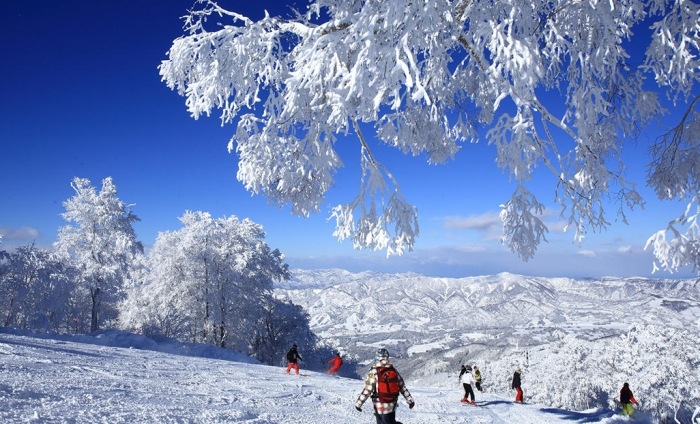 野澤溫泉滑雪場住宿